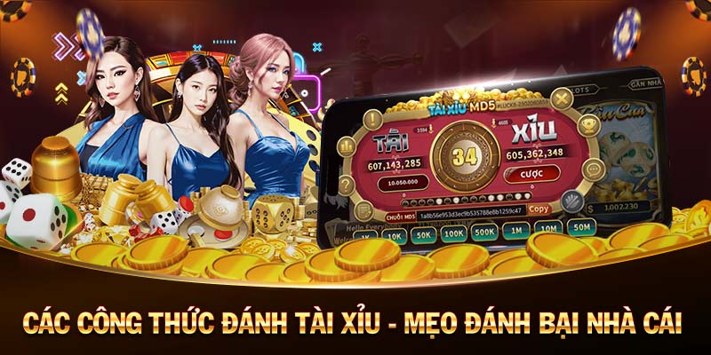 xổ số cần thơ 2 tháng 10